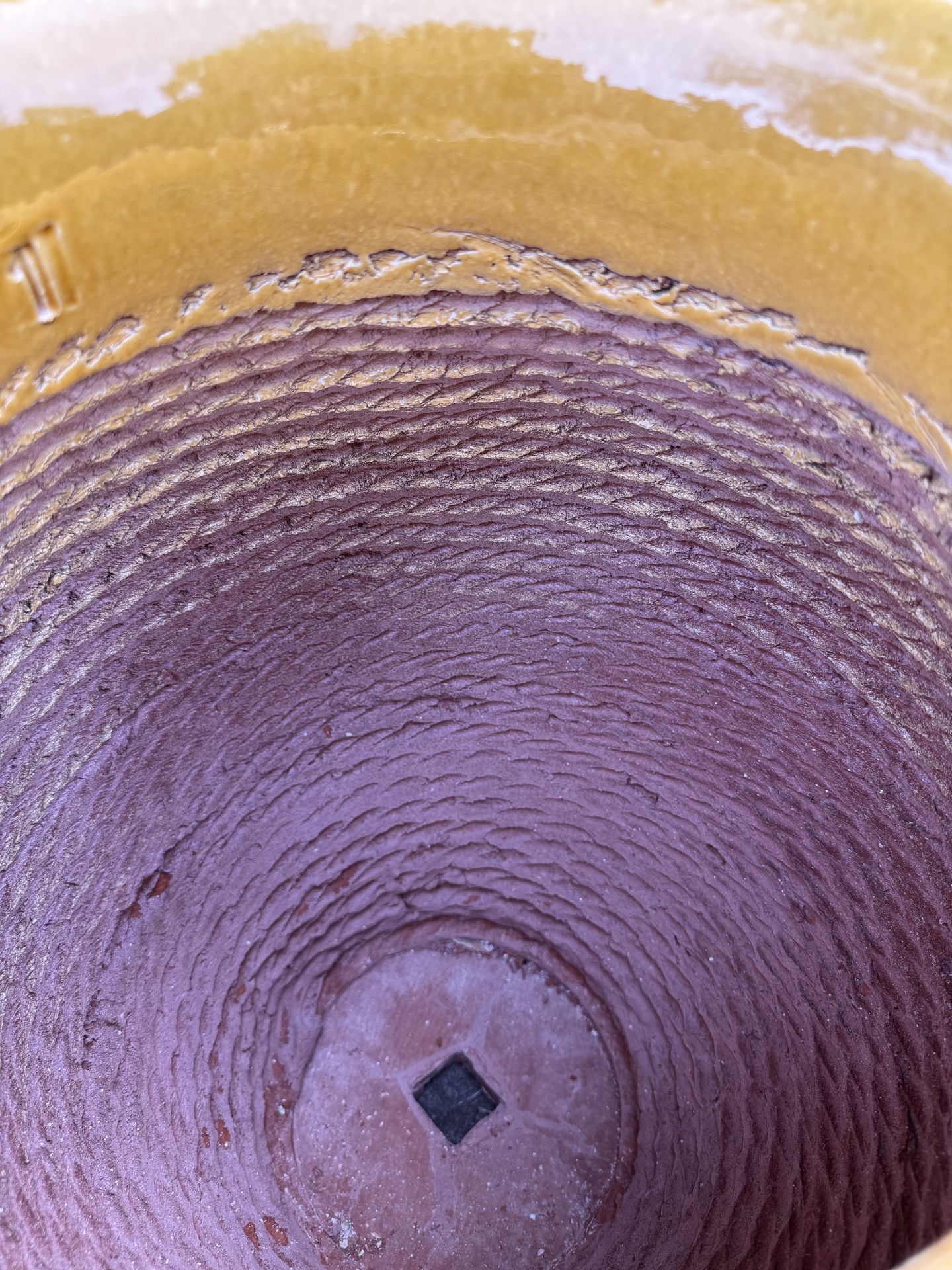 plant flower in large terracottem pots