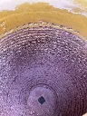 xxl terracotta pot terre cuite grande taille belgique BW Brabant (18).webp