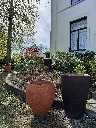 xxl terracotta pot terre cuite grande taille belgique BW Brabant (1).webp