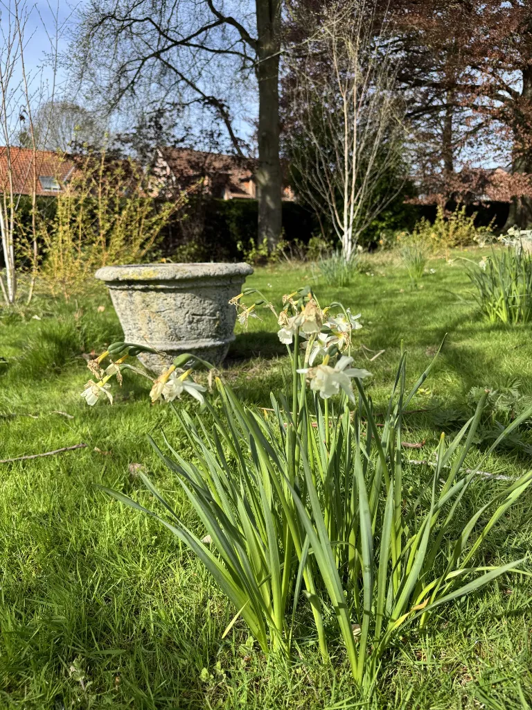 xxl terracotta pot terre cuite grande taille belgique BW Brabant (8).webp
