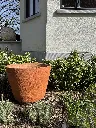 xxl terracotta pot terre cuite grande taille belgique BW Brabant (48).webp