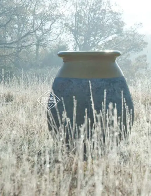 jarre terracotta pot terre cuite grande taille xxl belgique  miel.webp