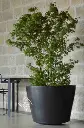 Cuvier terracotta pot terre cuite grande taille xxl.webp