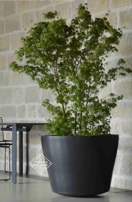 Cuvier – grote XXL terracotta pot
