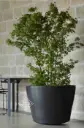 Cuvier – grote XXL terracotta pot